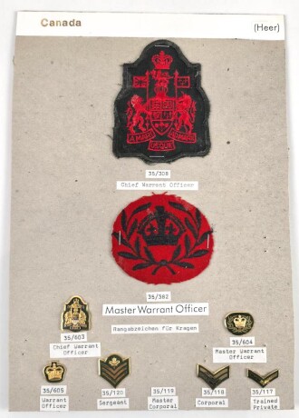 Canada Heer, Sammlung Abzeichen/ Ärmelabzeichen, auf Karton getackert