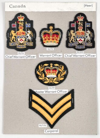 Canada Heer, Sammlung Abzeichen/ Ärmelabzeichen, auf Karton getackert