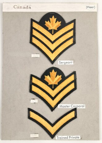 Canada Heer, Sammlung Abzeichen/ Ärmelabzeichen, auf Karton getackert