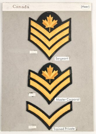 Canada Heer, Sammlung Abzeichen/ Ärmelabzeichen, auf...