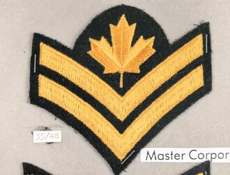 Canada Heer, Sammlung Abzeichen/ Ärmelabzeichen, auf Karton getackert
