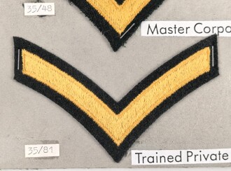 Canada Heer, Sammlung Abzeichen/ Ärmelabzeichen, auf Karton getackert