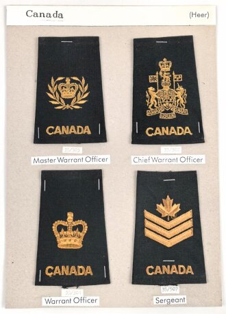 Canada Heer, Sammlung Rangabzeichen, auf Karton getackert