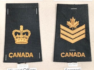 Canada Heer, Sammlung Rangabzeichen, auf Karton getackert