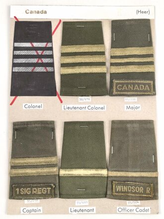 Canada Heer, Sammlung Rangabzeichen, auf Karton getackert
