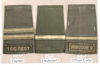 Canada Heer, Sammlung Rangabzeichen, auf Karton getackert