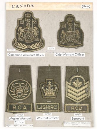 Canada Heer, Sammlung Rangabzeichen, auf Karton getackert