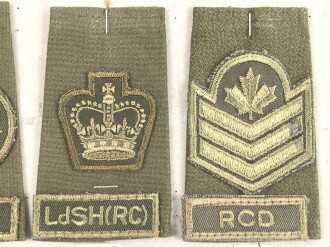 Canada Heer, Sammlung Rangabzeichen, auf Karton getackert