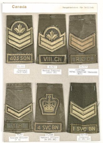 Canada Heer, Sammlung Rangabzeichen für die Drillich Uniform, auf Karton getackert