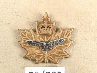 Canada Luftwaffe, Sammlung Abzeichen/ Mützenabzeichen, auf Karton getackert