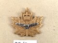 Canada Luftwaffe, Sammlung Abzeichen/ Mützenabzeichen, auf Karton getackert