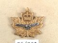 Canada Luftwaffe, Sammlung Abzeichen/ Mützenabzeichen, auf Karton getackert