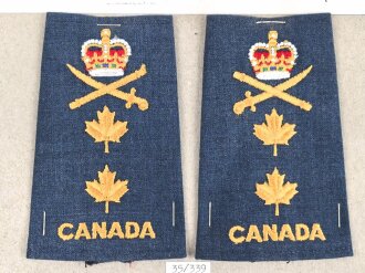 Canada Luftwaffe, Sammlung Rangabzeichen, auf Karton...