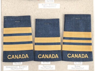 Canada Luftwaffe, Sammlung Rangabzeichen, auf Karton getackert