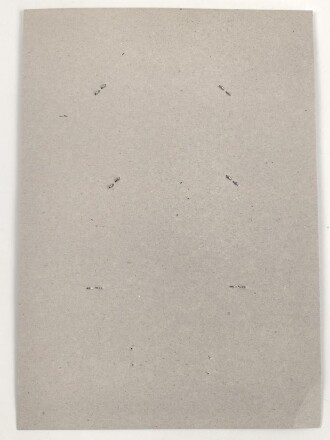 Canada Luftwaffe, Sammlung Pilotenschwingen, auf Karton getackert