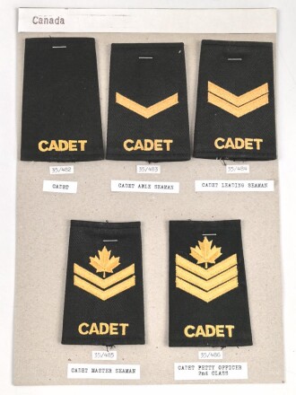 Canada Heer, Sammlung Rangabzeichen, auf Karton getackert