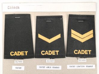 Canada Heer, Sammlung Rangabzeichen, auf Karton getackert