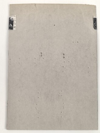 Canada Marine, Sammlung Rangabzeichen und Mützenband, auf Karton getackert