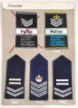 Canada Polizei, Sammlung Rangabzeichen, auf Karton getackert