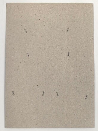 Canada Polizei, Sammlung Ärmelabzeichen, auf Karton getackert