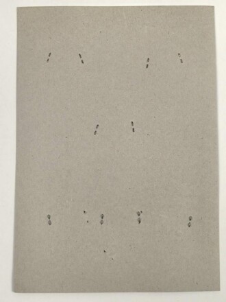 Norwegen, Sammlung Rangabzeichen der Luftwaffe, auf Karton getackert