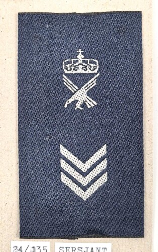 Norwegen, Sammlung Rangabzeichen der Luftwaffe, auf Karton getackert