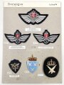 Norwegen, Sammlung Rangabzeichen der Luftwaffe, auf Karton getackert