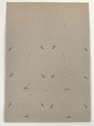 Bangladesch, Sammlung Springerabzeichen, auf Karton getackert