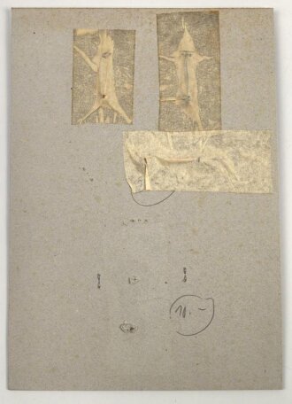 Vereinigte Arabische Emirate, Sammlung Rangabzeichen der Polizei, auf Karton teils getackert