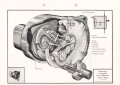 Luftwaffe Lehrmittelabteilung "Höhenmesser Wirkungsbild des Anzeigegerät - Fl Üb 27-032/5" Stand vom Mai 1941, DIN A4 gelocht