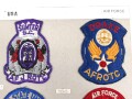 U.S. Air Force, ROTC" badge collection