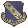 U.S. Air Force 11th Wing Patch