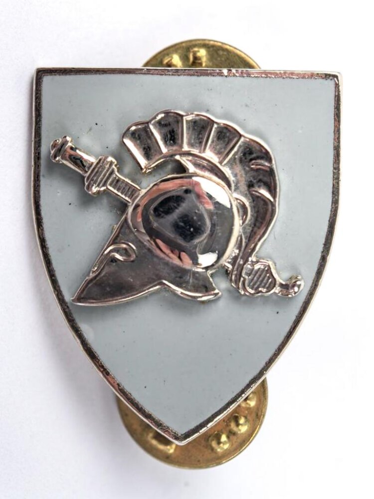 U.S. Army Unit Crest 