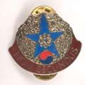 U.S. Army Unit Crest "502nd Surgical Hospital"