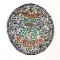U.S. Air Force 36th Tac FTR WG TACTICAL FIGHTER WING patch