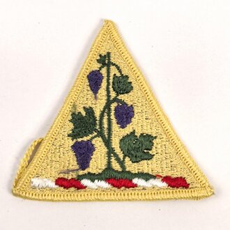 U.S. Army, 1st Infantry Regiment patch