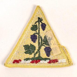 U.S. Army, 1st Infantry Regiment patch