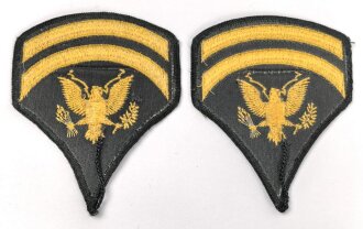 U.S. Army , Specialist First Class Rank insignia, pair