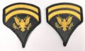 U.S. Army , Specialist First Class Rank insignia, pair