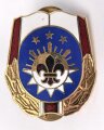U.S. Army Unit Crest "US Army Medical Department Activity Fort Irwin"