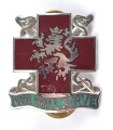 U.S. Army Unit Crest "130th Station Hospital"