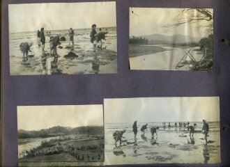 Internierte Angehörige der kaiserlichen Marine in Japan. Fotoalbum mit 163 Fotos eines Angehörigen des Kriegsgefangenenlager Narashino
