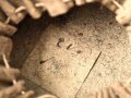Bayern, Tschako für Landwehr Modell 1825. Nicht zugehöriger Kordon, diverse Mottenschäden, sonst gut