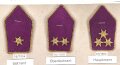 Österreich, Sammlung Rangabzeichen für Offiziere, auf Karton getackert
