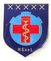 Österreich, Truppenkörperabzeichen "HSanL", Maße 50 x 60mm, Rückseitig Klebereste