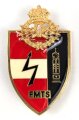 Österreich, Truppenkörperabzeichen "Fernmeldetruppenschule FMTS", Maße 40 x 60mm