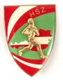 Österreich, Truppenkörperabzeichen "Heeres-Sport.Zentrum HSZ", Maße 50 x 65mm