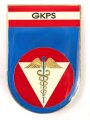 Österreich, Truppenkörperabzeichen "Schule f. allgem. Gesundheits-u. Krankenpflege", Maße 40 x 60mm