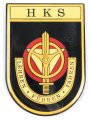 Österreich, Truppenkörperabzeichen "Heereskraftfahrschule Wien", Maße 45 x 65mm, Nadel fehlt, Klebereste rückseitig