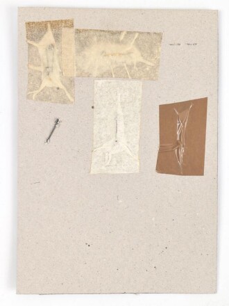 Belgien, Sammlung verschiedener Abzeichen